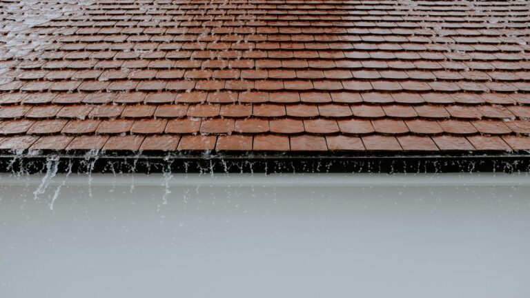 Water Purification and Rainwater Harvesting in the Era of Climate Change