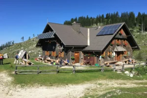 Read more about the article Off-Grid Living and Energy Independence: A Complete Guide