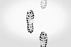 Read more about the article How to Reduce Your Personal Carbon Footprint